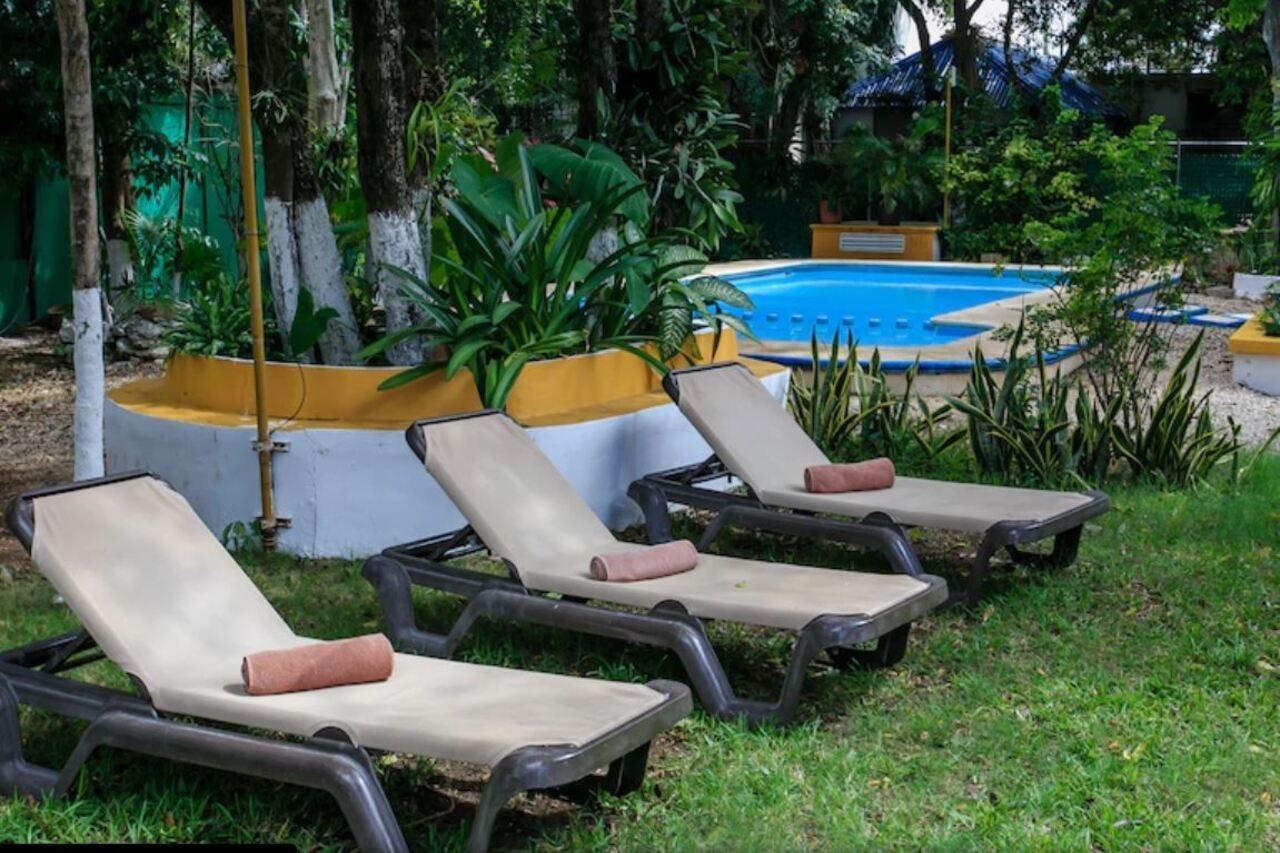 Koox City Garden Hotel Πλάγια Ντελ Κάρμεν Εξωτερικό φωτογραφία