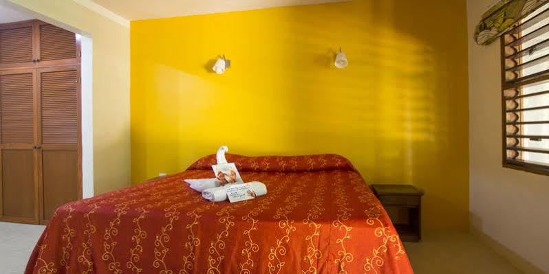 Koox City Garden Hotel Πλάγια Ντελ Κάρμεν Εξωτερικό φωτογραφία