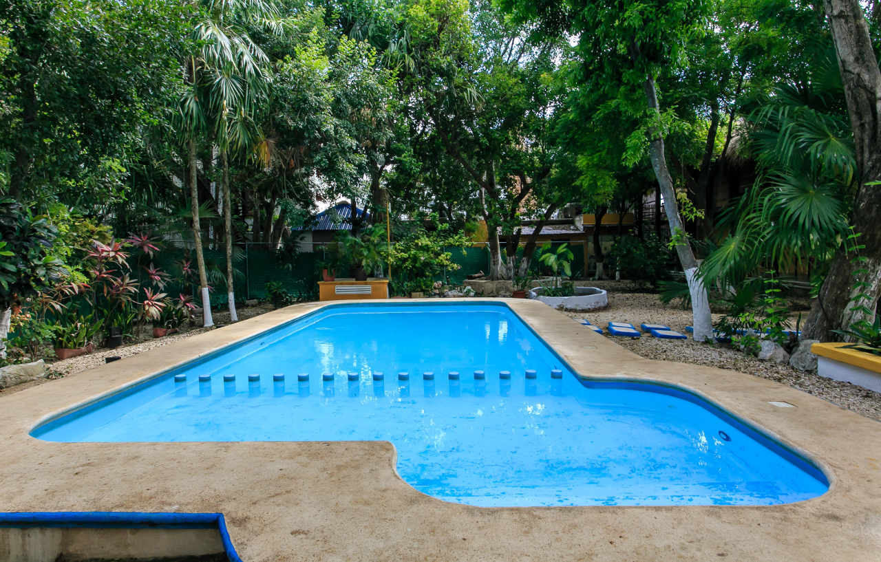 Koox City Garden Hotel Πλάγια Ντελ Κάρμεν Εξωτερικό φωτογραφία